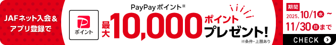 PayPayポイント 最大10,000ポイントプレゼント