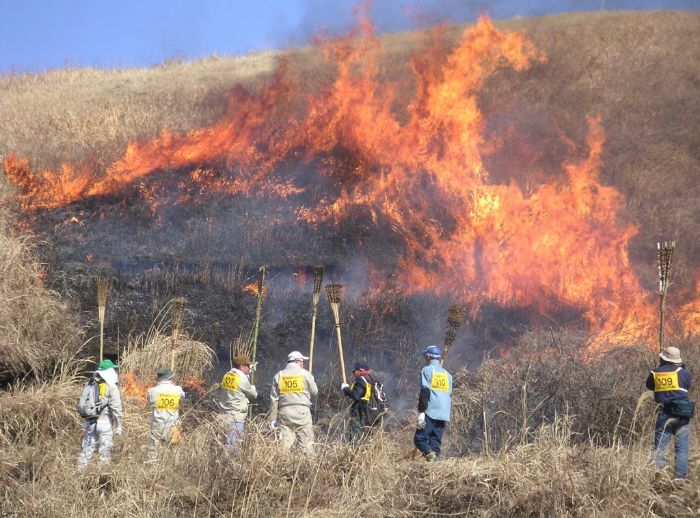 阿蘇の草原を守る（熊本）